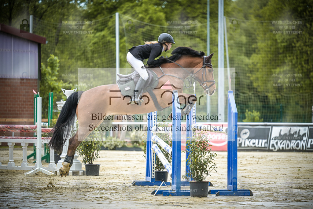 DOS_5799 | Entdecke hochwertige Reitturnierfotos von Foto Oger. Professionell, emotional und authentisch – jetzt Lieblingsmomente im Shop bestellen.Deutschlandweite Turnierfotografie. - Realisiert mit Pictrs.com