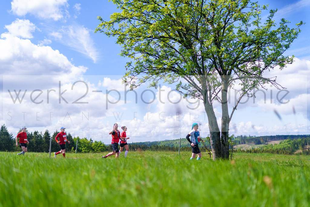 Rennsteiglauf Marathon 2025 | Marathon von Neuhaus/Rwg. nach Schmiedefeld/Rstg. am 17. Mai 2025