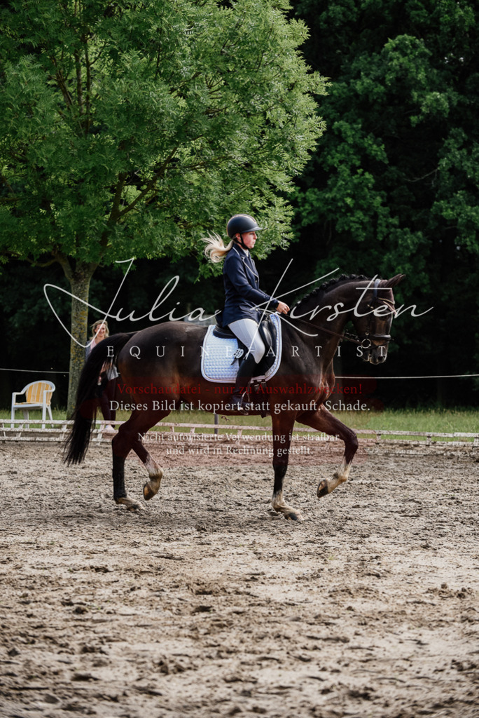 DSC_0071 | Pferde- und Turnierfotografie in Westsachsen. Pferdeportraits, Auftragszeichnungen und intuitive Kunst.