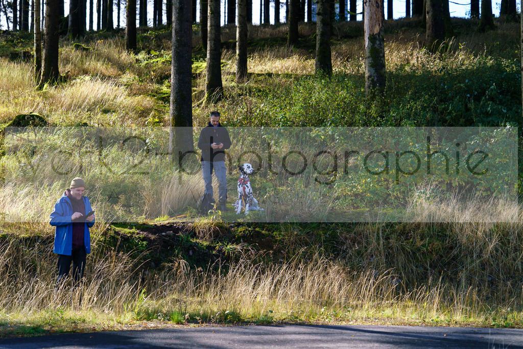 Herbstlauf 2024 | Rennsteig-Herbstlauf von Neuhaus am Rennweg nach Masserberg am 6. Oktober 2024
