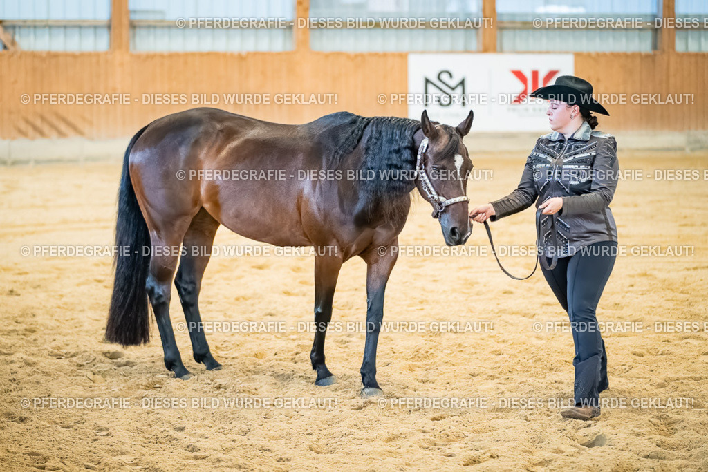 DSC09834 | Pferdegrafie