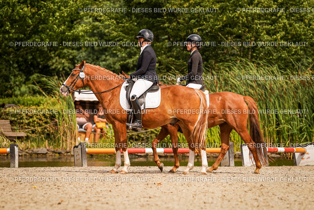 DSC02165 | Pferdegrafie