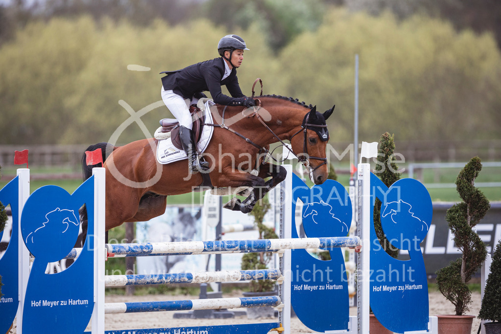 250417_Springpferde-L1-283 | Deine schönsten Turniermomente als professionelle Fotos! Entdecke hochwertige Pferdesport-Fotografie im Online-Shop. Jetzt Fotos finden & bestellen!