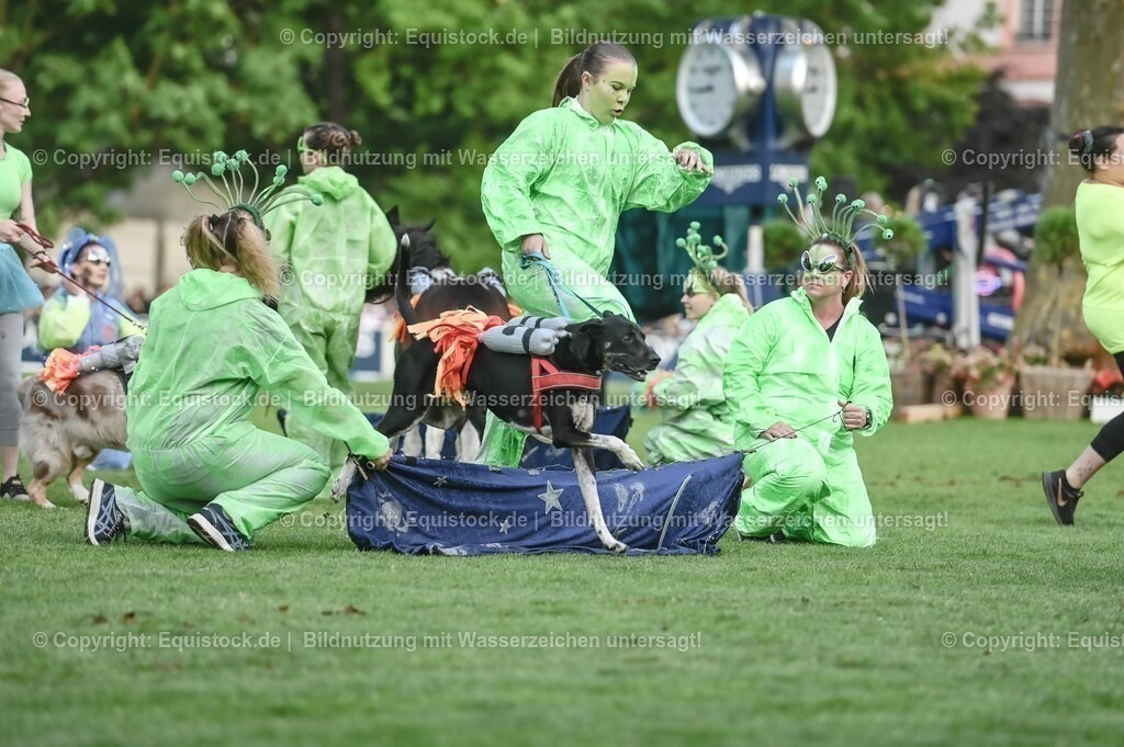 20230526_Pferdenacht_0471 | equistock