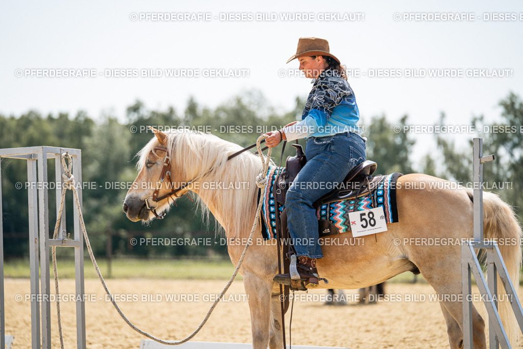 DSC00029 | Pferdegrafie