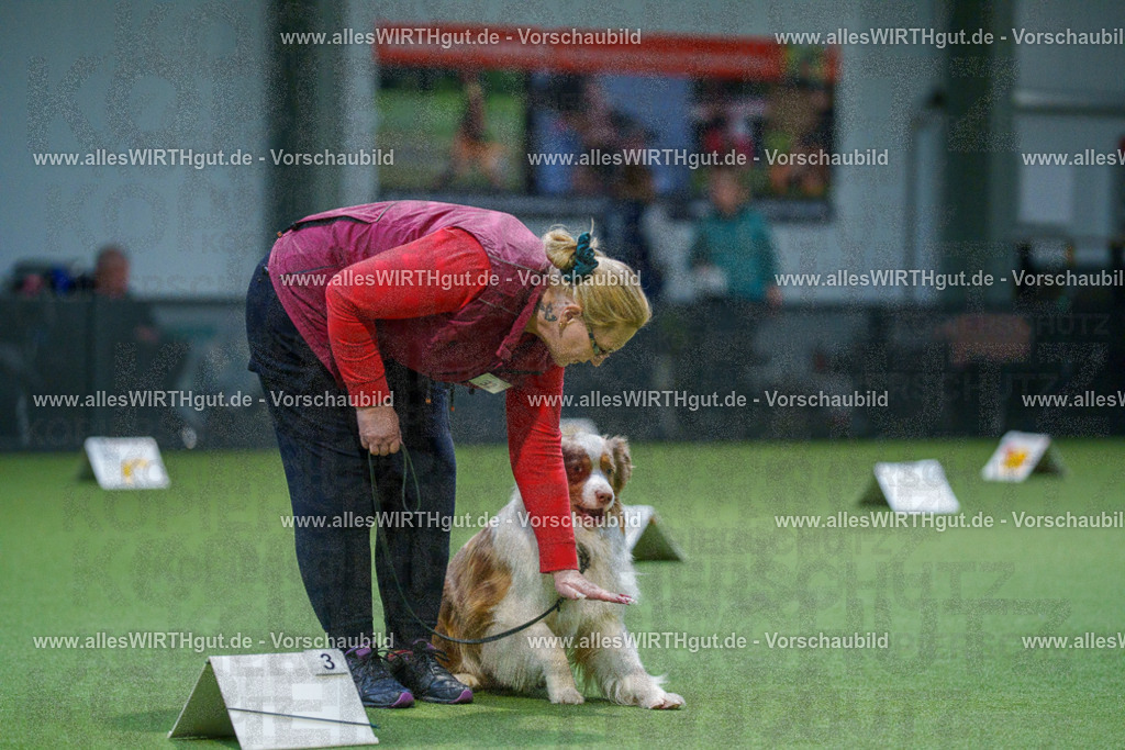 7R500687 | Professionelle Tierfotografie in Mönchengladbach von Daniel Wirth (allesWIRTHgut). Liebevolle & natürliche Bilder von Hunden & Katzen für unvergessliche Erinnerungen.