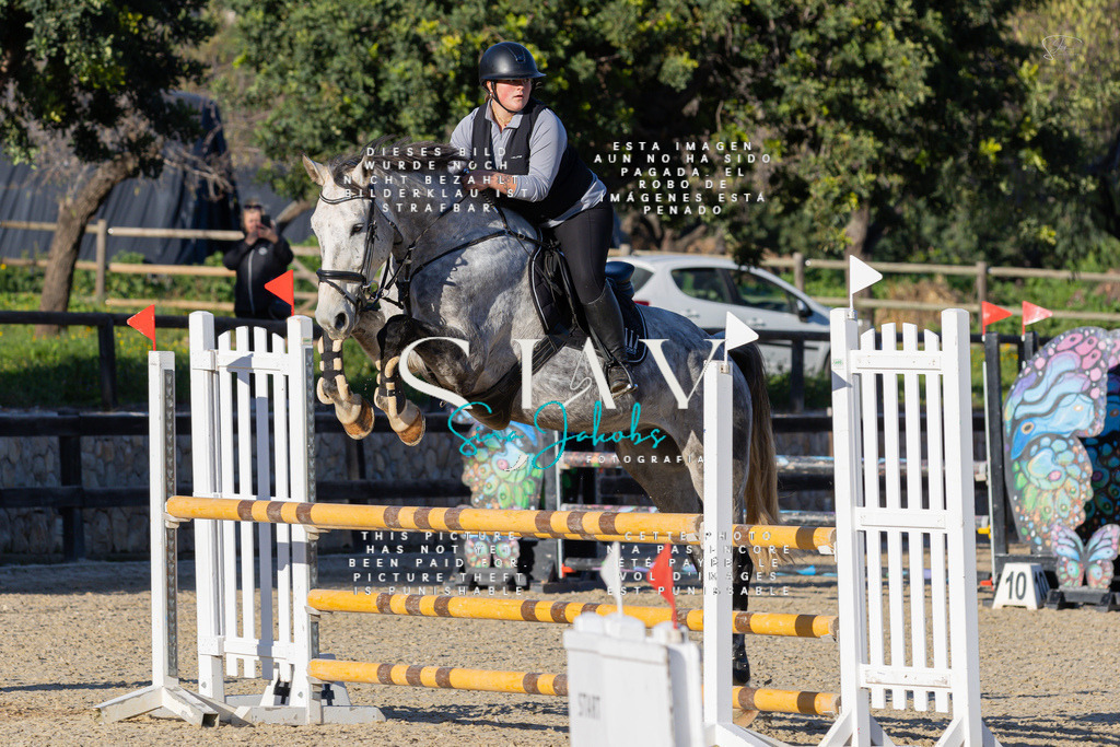 IMG_2243 | s-jay-photography - Realisiert mit Pictrs.com