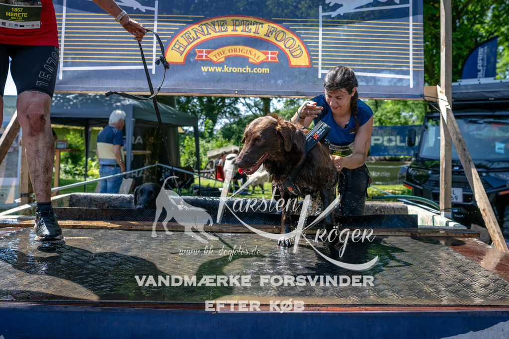 1244_ZZ92016 | kk-dogfotos