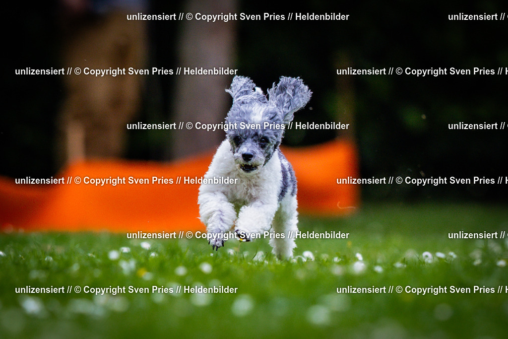 Sven Pries | 2025-05-29 - Pudelrennen KA-Durlach - Realisiert mit Pictrs.com