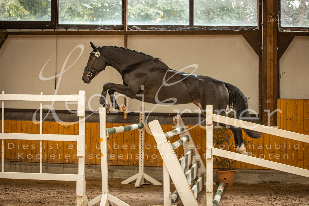 2FS_L00058 | Leoni Ertmer Photography - Realisiert mit Pictrs.com