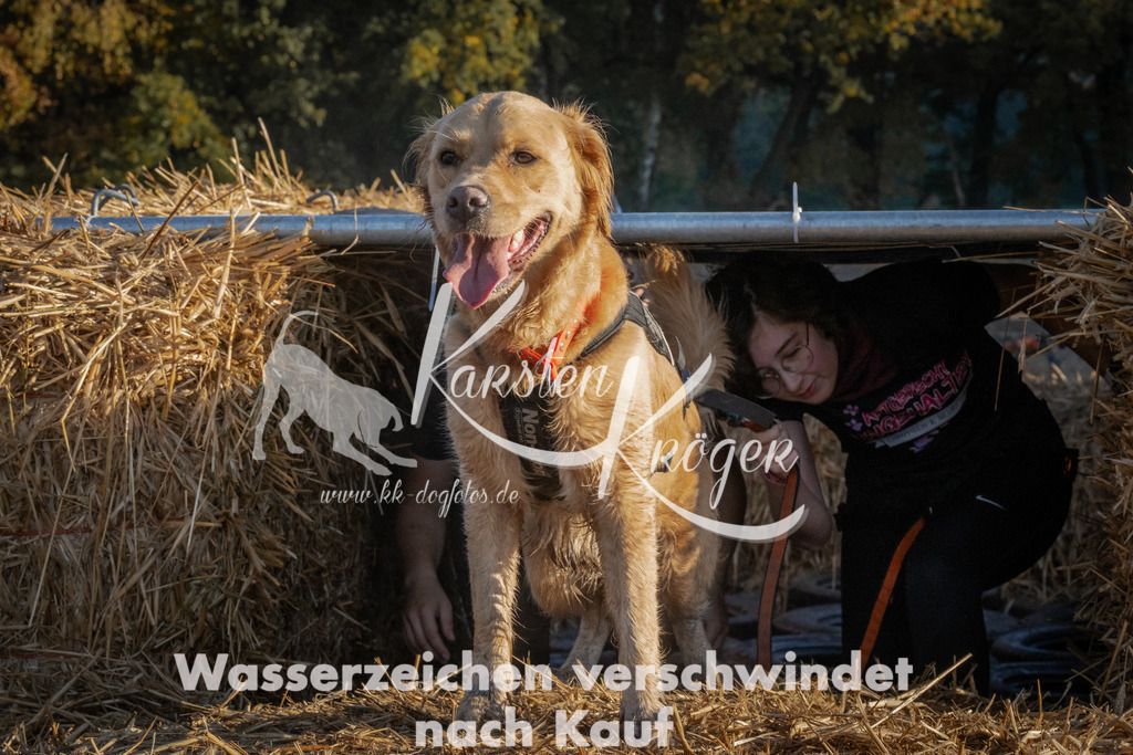 0934_ZZ93765 | kk-dogfotos