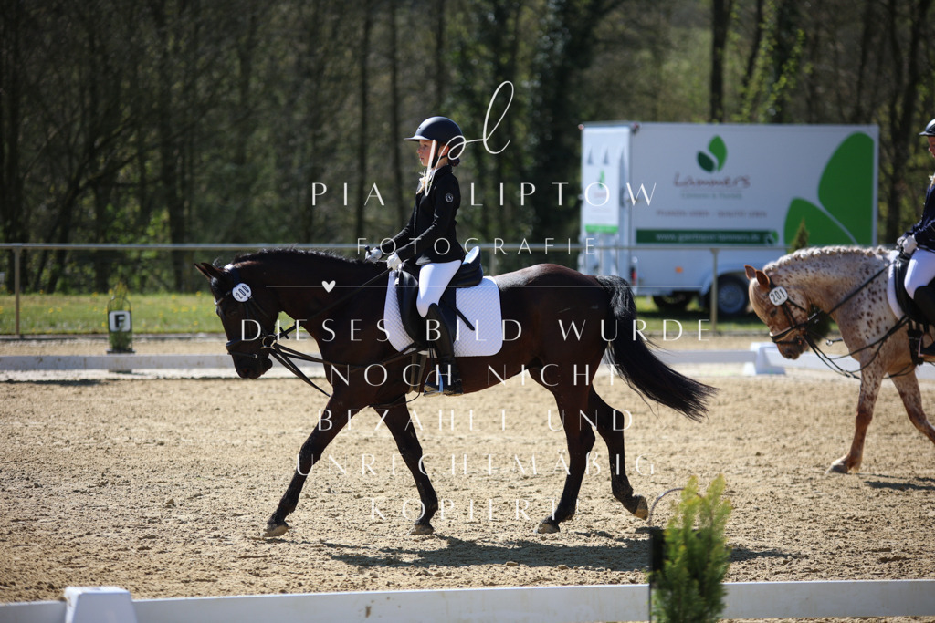 IMGT0564 | pl-fotografie