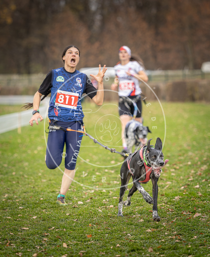 CaniXpix_DV3A6321 | Hundefotografie, Tierfotograf, Pfotenfotografie, Fotoshooting Hund, Hunde Portrait, Hundesport, Hundeportraits, Heideshooting, Hunde, Sportfotograf, Hundefotograf, Turnierhundsport, THS,  - Realisiert mit Pictrs.com