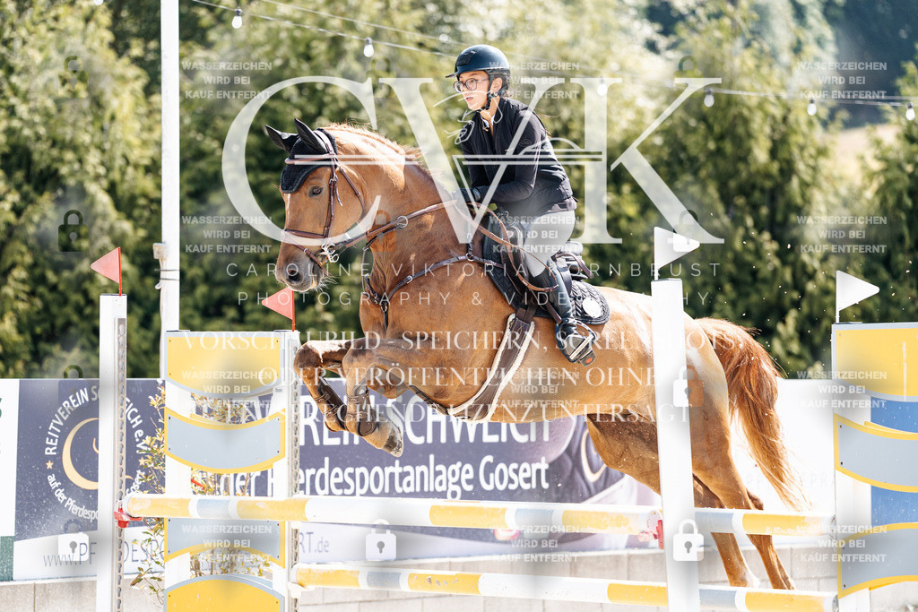 CK908842 | Turnierfotografie Pferdefotografie Trier Rheinland-Pfalz Pferdesport Reitsport Tierfotografie Sportfotografie Pferdevideo Pferdevideografie Equestrianvideography equestrianphotography  - Realisiert mit Pictrs.com