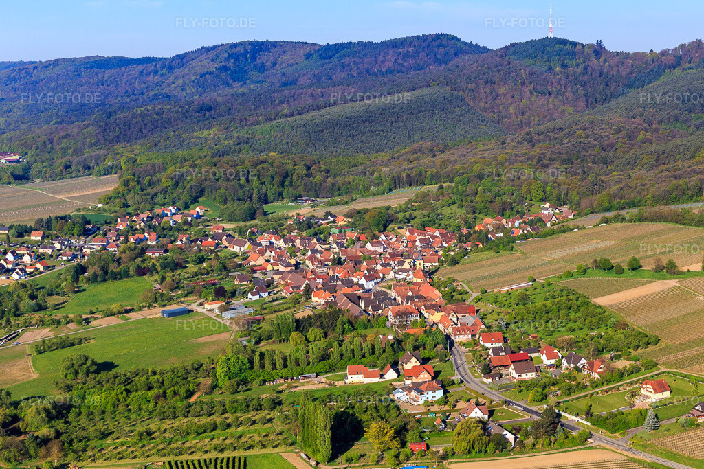 Luftbild: Ortsansicht von Osten in Rott im Bundesland Bas-Rhin in Frankreich. – Foto: IMG_099296.jpg vom 30.04.2017 durch Werner Riehm/FLY-FOTO.de – Auflösung des Originals: 4924 x 3283 px
