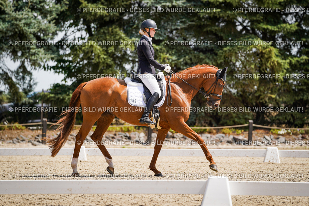 DSC00909 | Pferdegrafie