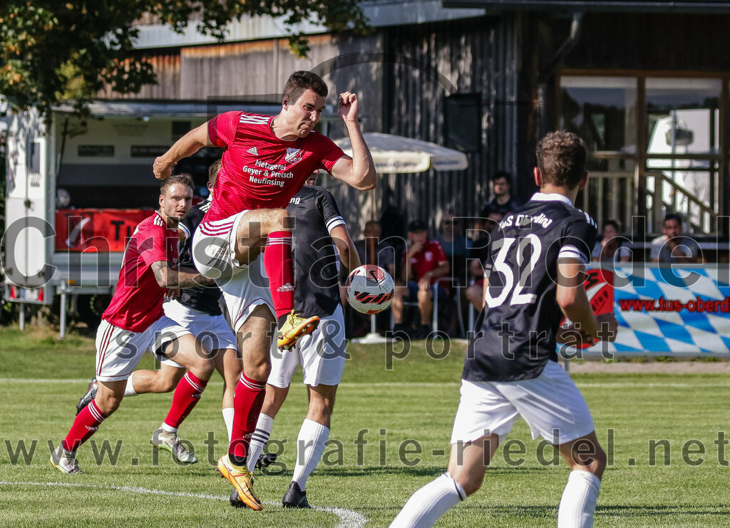 2023-08-20_099_TuS_Oberding_gegen_FC_Finsing_II | Oberding, Deutschland, 20.08.2023:
Fußball, Kreisklasse 2023 / 2024, 3. Spieltag, TuS Oberding gegen FC Finsing II, Endergebnis: 1:1

Michael Bayer (FC Finsing, #13)

Foto: Christian Riedel / fotografie-riedel.net