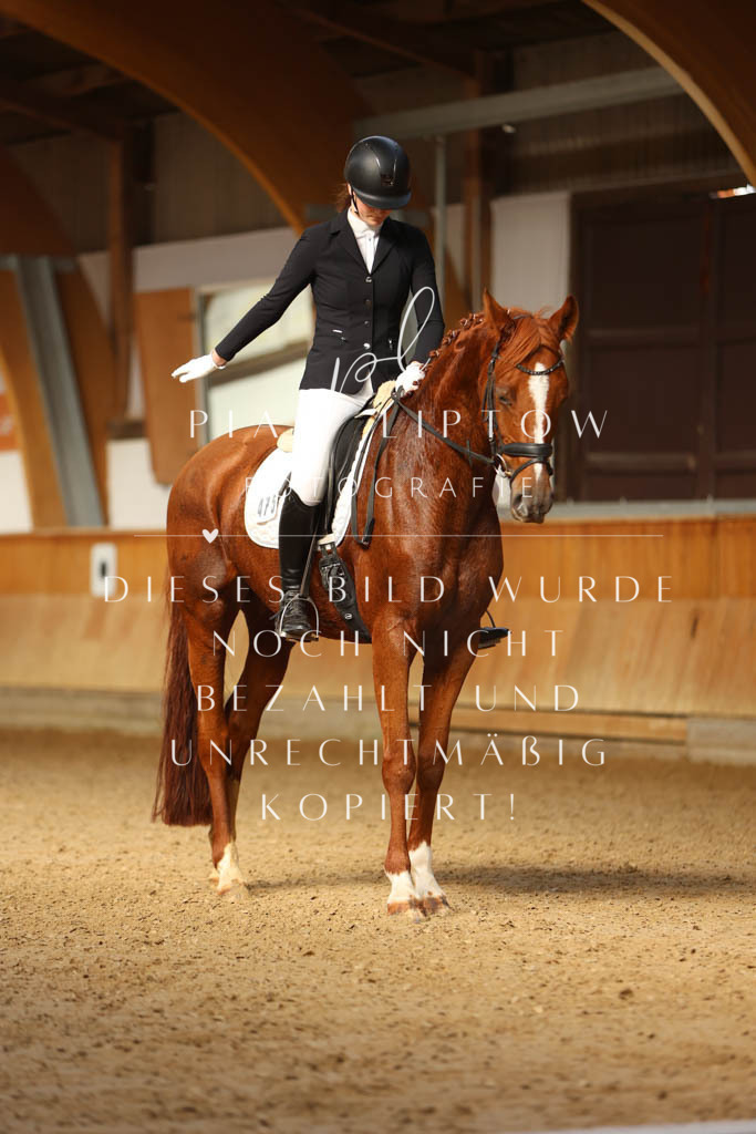 IMGM4085 | pl-fotografie