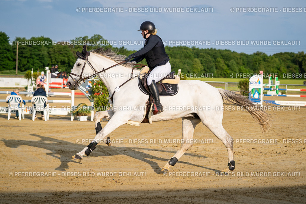 DSC02007 | Pferdegrafie