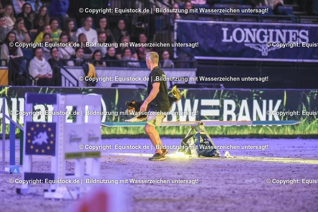 20231115_Dog-Agility_0145_TOMsPiC | Foto: Thomas Hartig