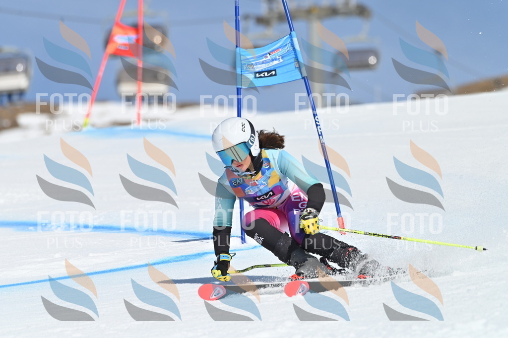 BGV_9164 | holidayphoto