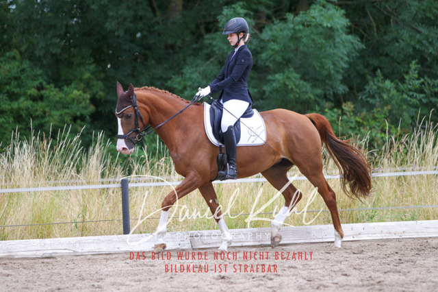 DKP46811 | Turniersportfotografie; Pferdefotografie; Dressurfotografie