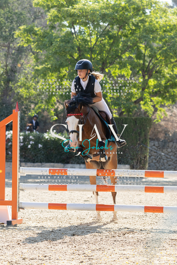 IMG_4882 | s-jay-photography - Realisiert mit Pictrs.com