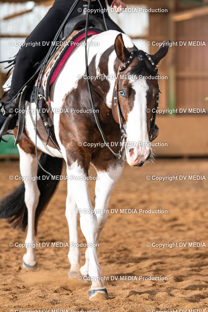 Balingen Tag 3-600 | dv-media-shop - Realisiert mit Pictrs.com