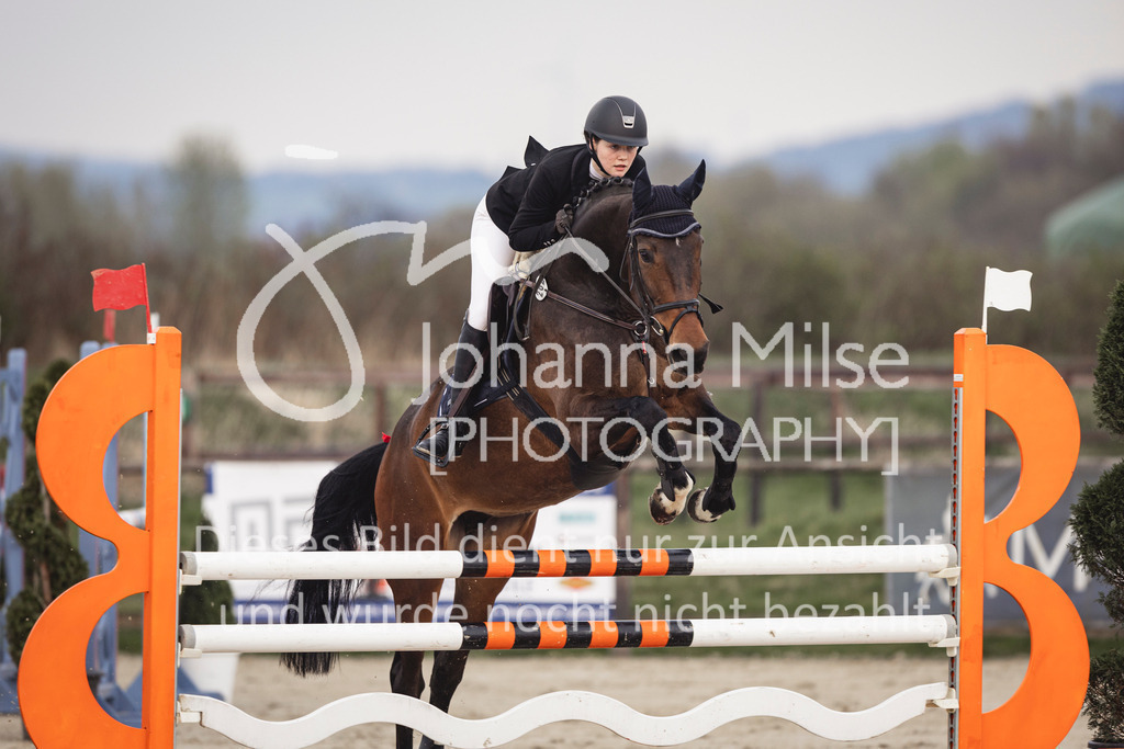 240327_Fruehlingsfest_Stil-L-1-315 | Deine schönsten Turniermomente als professionelle Fotos! Entdecke hochwertige Pferdesport-Fotografie im Online-Shop. Jetzt Fotos finden & bestellen!