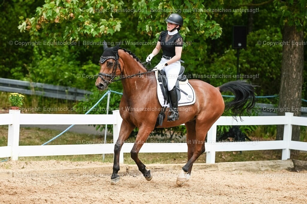 20230715_05_Dressurprüfung Kl.A++_0334 | equistock