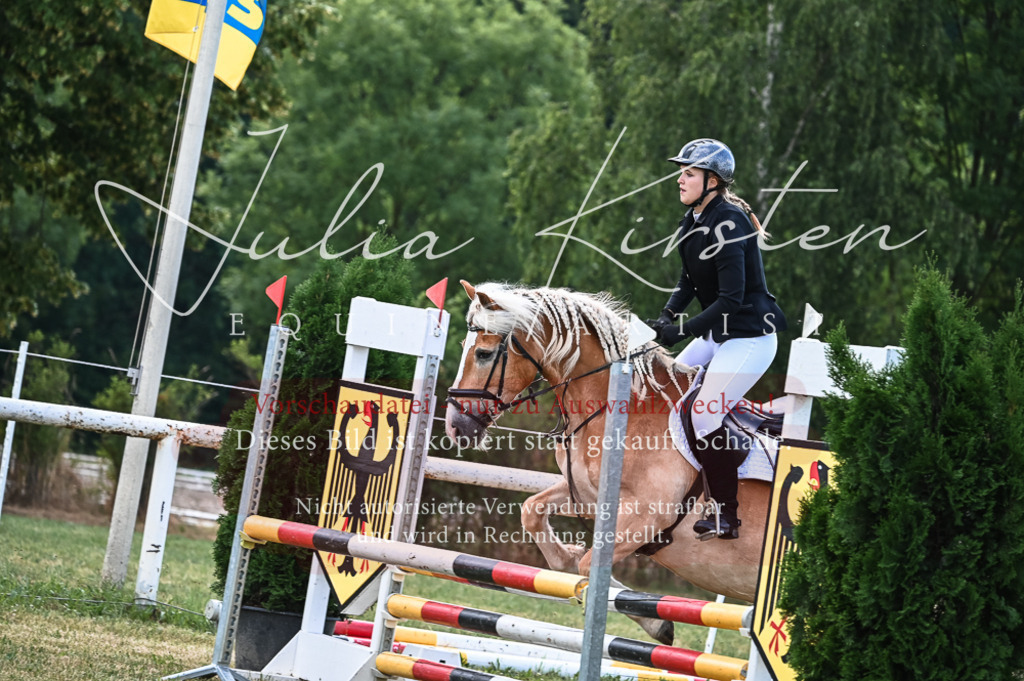 DSC_8109 | Pferde- und Turnierfotografie in Westsachsen. Pferdeportraits, Auftragszeichnungen und intuitive Kunst.