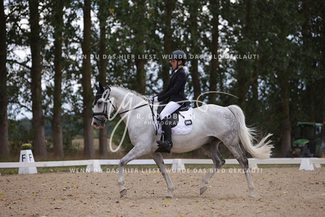 1J2A0856Charlotte Fehr_ Ikon 16_ Kn061_ Wöpkendorf_ Annalena Beier_ Quinn M_ Kn095 | Foto- und Videografie für alles rund ums Pferd. Hochwertige Bilder und Videos vom Spring- und Dressurreiten, Voltigieren & mehr. Jetzt aktuelle Veranstaltungen und Preise im Shop ansehen. - Realisiert mit Pictrs.com