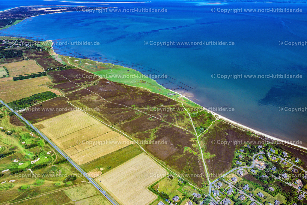 Sylt_Braderup_Braderuper_Heide_ELS_6256210625 | WENNINGSTEDT-BRADERUP (SYLT) 21.06.2025 Küstenbereich der Nordsee - Insel in Wenningstedt-Braderup (Sylt) Braderupper Heide Landschaft im Bundesland Schleswig-Holstein. // Coastal area of a??a??the North Sea - island in Wenningstedt-Braderup (Sylt) Braderupper Heide landscape in the state of Schleswig-Holstein. Foto: Martin Elsen