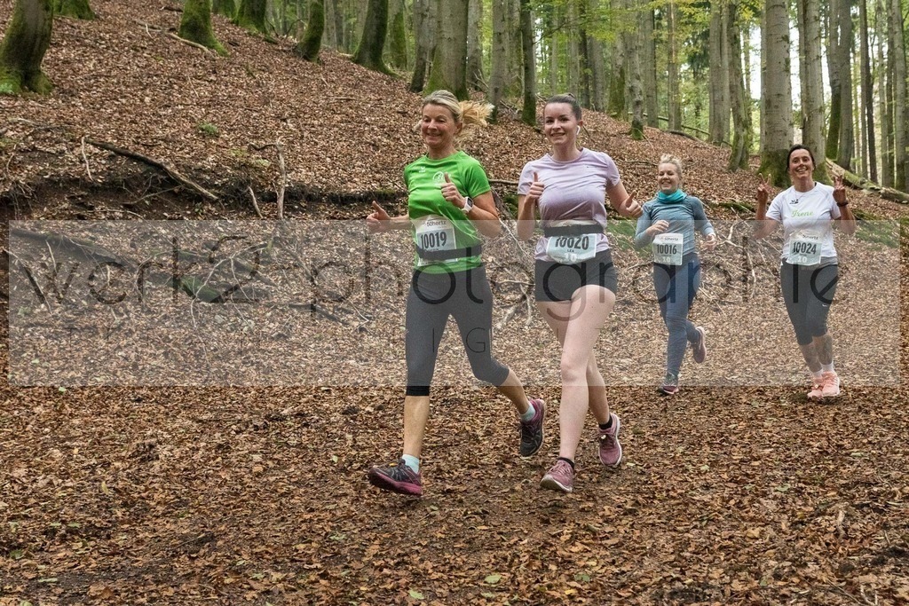 Herbstlauf | Neuhaus/Rwg. - Masserberg am 3. Oktober 2020