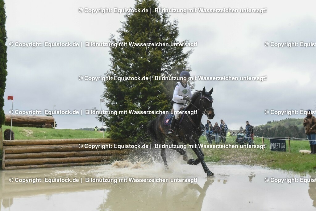 20230513_CCI2_Section2_Gelände_0389 | equistock