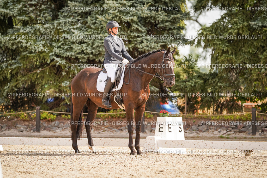 DSC01197 | Pferdegrafie