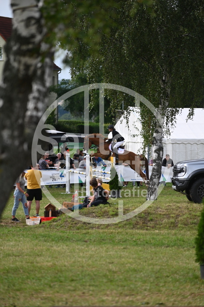 DSC_3156 | sattelsport - Realisiert mit Pictrs.com