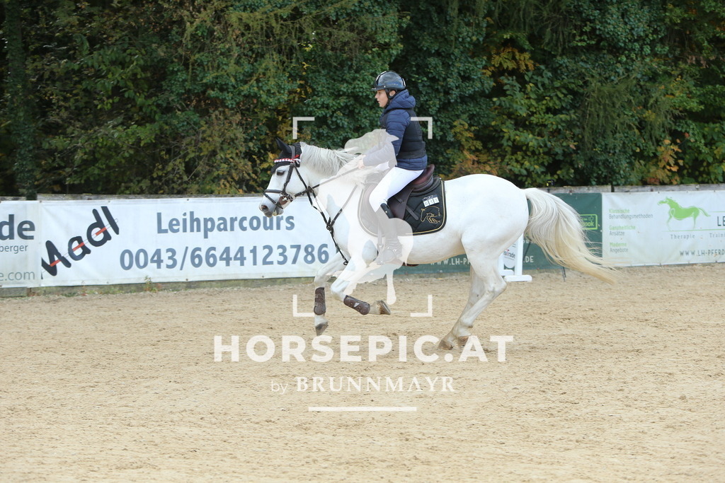 DL2Q5672 | Willkommen bei Brunnmayr - Design & Fotografie – Ihrem Spezialisten für Reitturniere und Pferdeveranstaltungen in Oberösterreich, Salzburg und Bayern! Seit über 17 Jahren sind wir leidenschaftlich dabei.