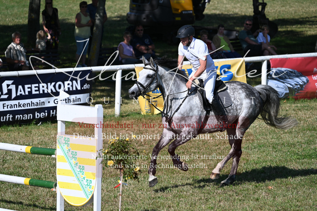 DSC_2249 | Pferde- und Turnierfotografie in Westsachsen. Pferdeportraits, Auftragszeichnungen und intuitive Kunst.