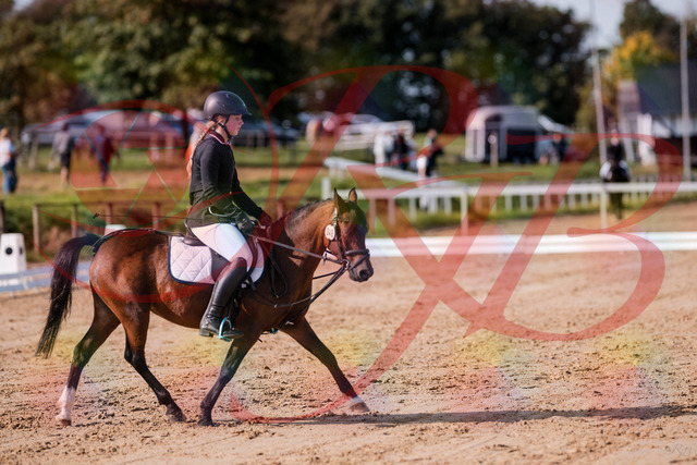 2026_10_03_Siefer-Hof_120703_Z81_08713012 | Professionelle Reitsport-, Turnier- und Eventfotografie von Robert Broda. Galerien mit ausgewählten und bearbeiteten Bildern direkt online ansehen und bestellen.