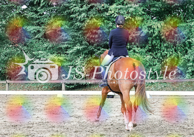 20250726_Dressurprüfung Kl.L Kandare-87 | JS-Photostyle - Sport-/Portrait- & Eventfotografie