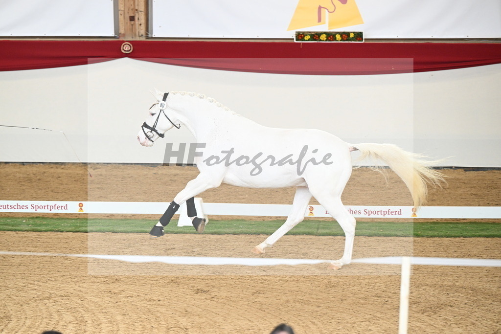 Kat.-Nr. 80 v. Topas_Sahlmann-Schmitz_2250712 | hf-fotografie - Realisiert mit Pictrs.com