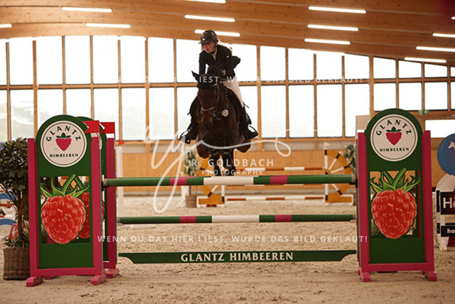 1J2A6392Annkathrin Heydenreich_ African Princess_ Kn009_ Glantz_ Hohen Wieschendorf | Foto- und Videografie für alles rund ums Pferd. Hochwertige Bilder und Videos vom Spring- und Dressurreiten, Voltigieren & mehr. Jetzt aktuelle Veranstaltungen und Preise im Shop ansehen. - Realisiert mit Pictrs.com