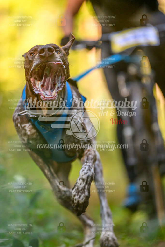 MompixPhotography_Yens2025_B3-21 | PayLife
