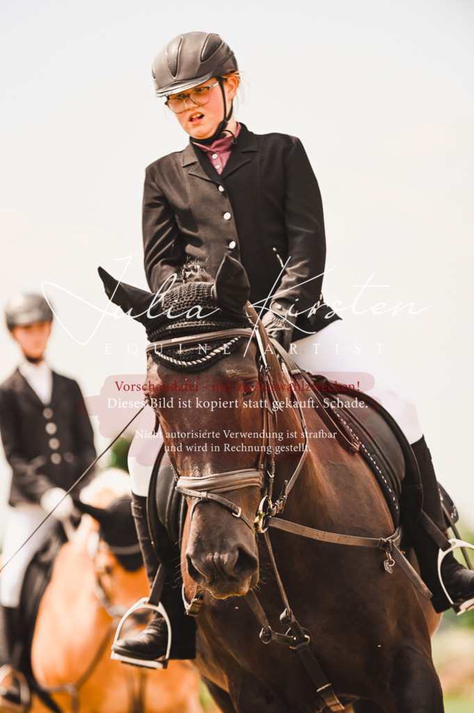 DSC_6192 | Pferde- und Turnierfotografie in Westsachsen. Pferdeportraits, Auftragszeichnungen und intuitive Kunst.