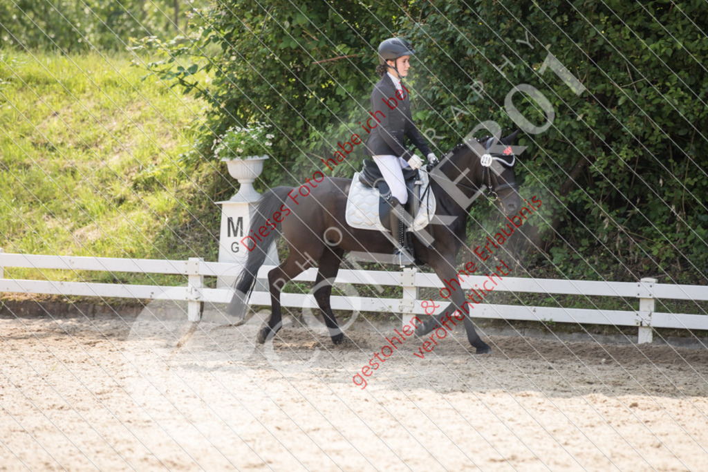 IMG_3712 | Sport-, Event- und Tierfotos in Profiqualität. Einfach auswählen, bestellen und herunterladen. Dein Moment – perfekt festgehalten.