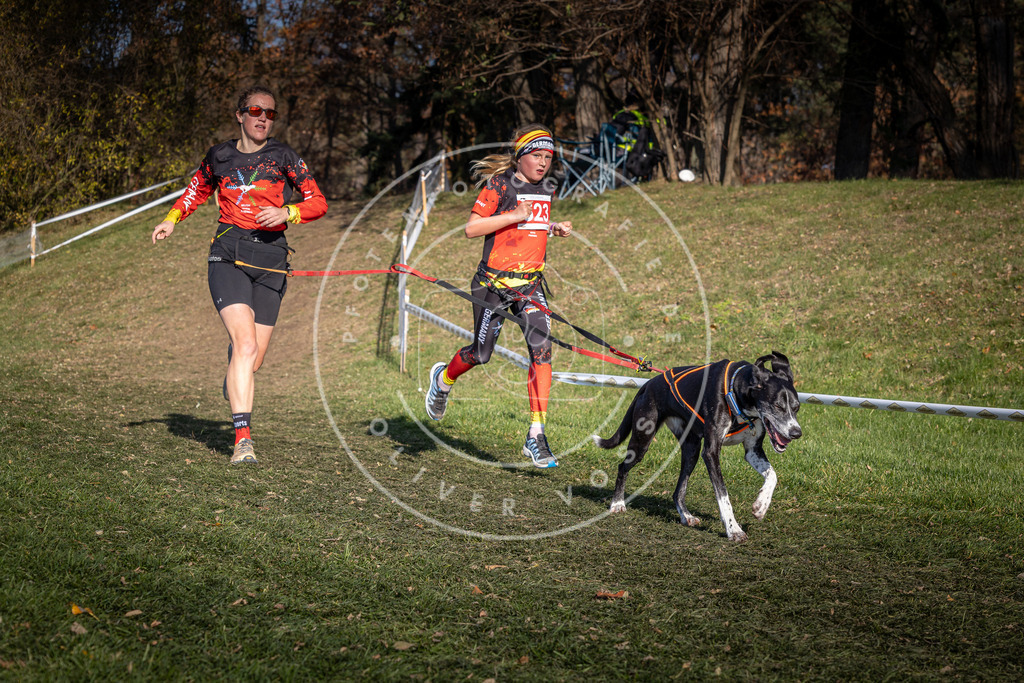 CaniXpix_0L8A8656 | Hundefotografie, Tierfotograf, Pfotenfotografie, Fotoshooting Hund, Hunde Portrait, Hundesport, Hundeportraits, Heideshooting, Hunde, Sportfotograf, Hundefotograf, Turnierhundsport, THS,  - Realisiert mit Pictrs.com