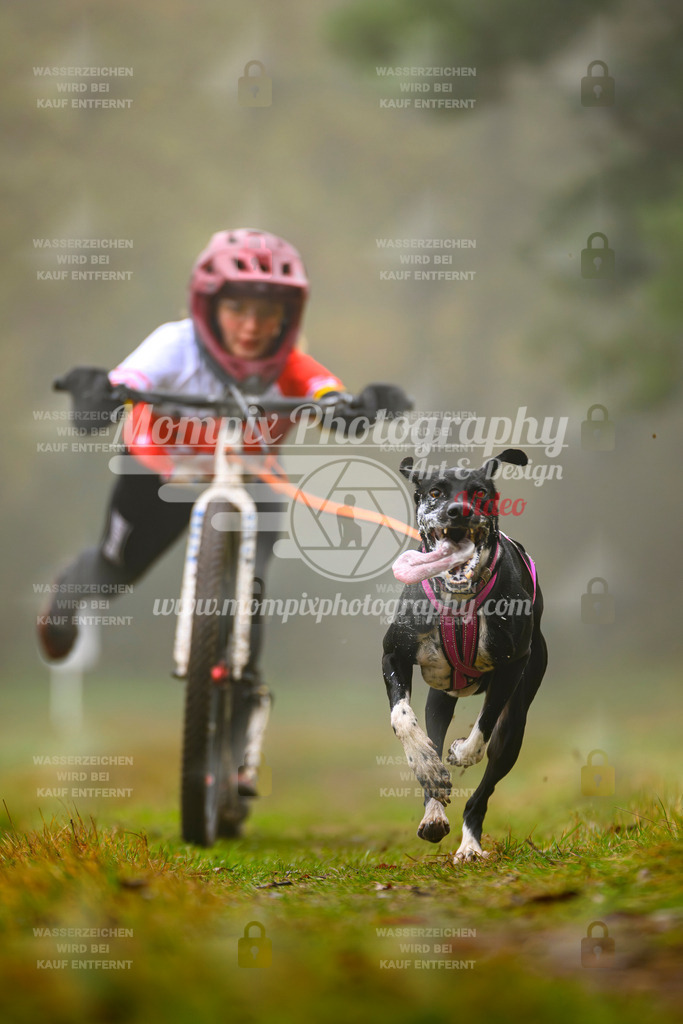 MompixPhotography_Bischwiller2025_Scooter-45 | mompixphotography