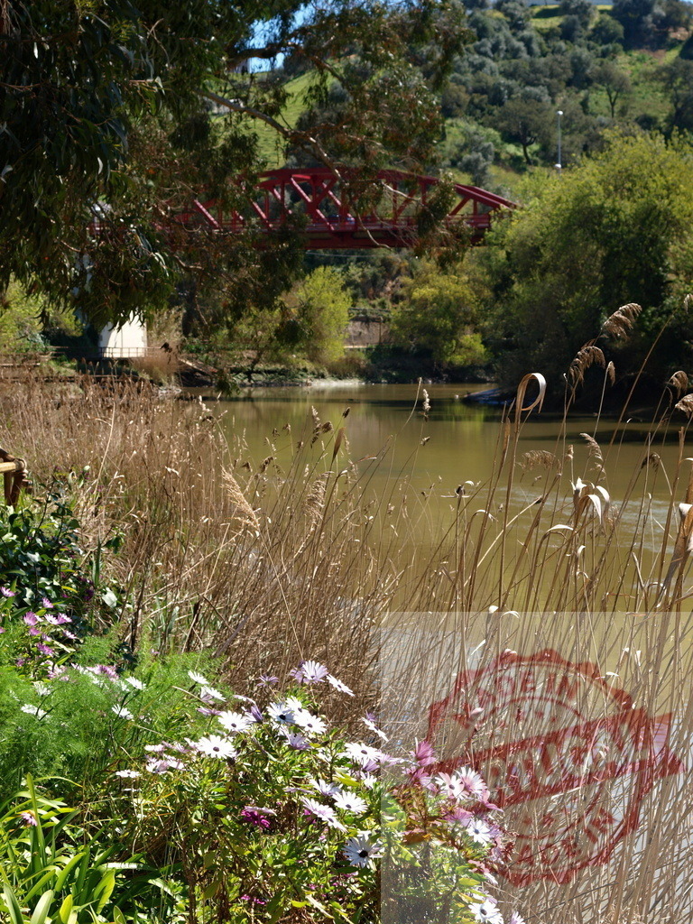 River landscape with a red bridge and blooming flowers | River flowing through reeds and flowers with a red truss bridge in the background - Realisiert mit Pictrs.com