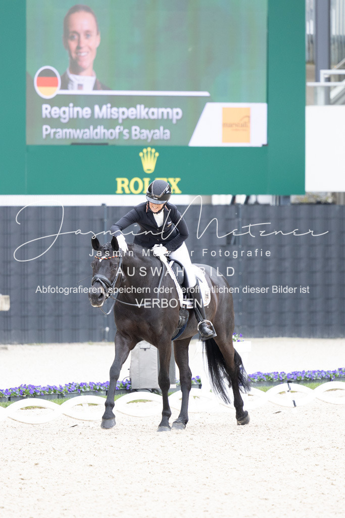 126A1127 | jasminmetznerfotografie